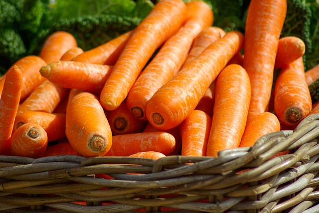 Oppskrifter på nordiske vegetarretter