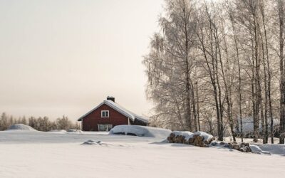 Finsk mustikkapiirakka: En bærpai fra Finland