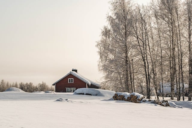 Finsk mustikkapiirakka: En bærpai fra Finland