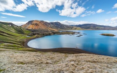 Islandsk hákarl: Den kontroversielle delikatessen